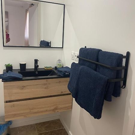 Bienvenue En Beaujolais Apartment Saint-Jean-d'Ardieres Ngoại thất bức ảnh