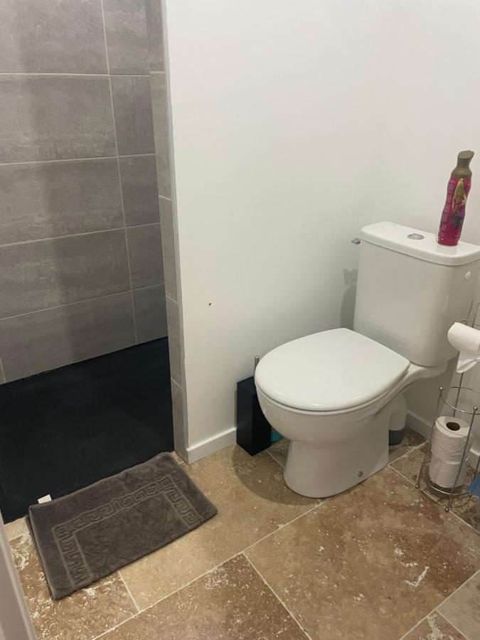 Bienvenue En Beaujolais Apartment Saint-Jean-d'Ardieres Ngoại thất bức ảnh