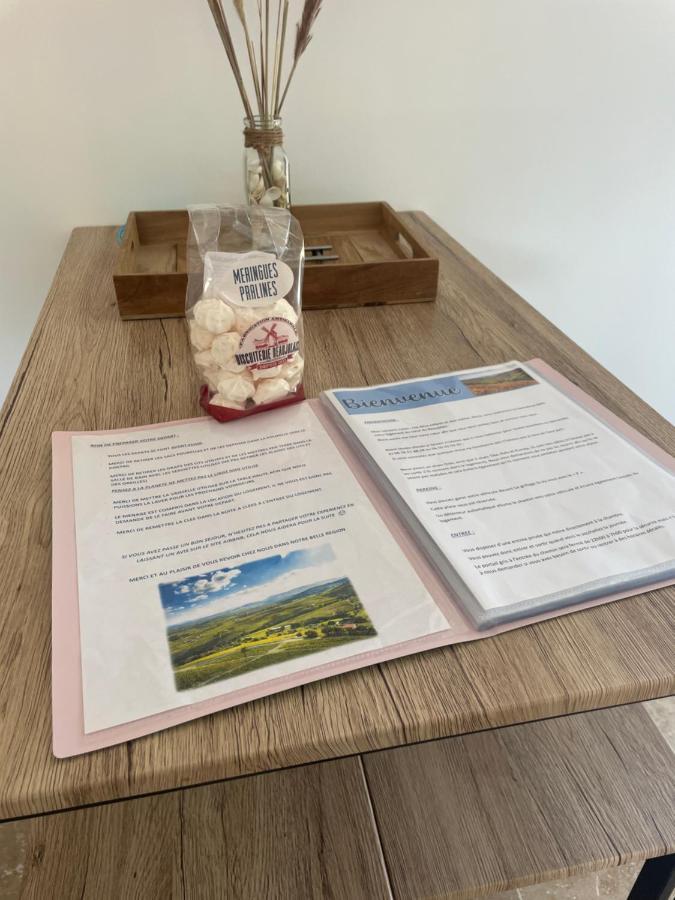 Bienvenue En Beaujolais Apartment Saint-Jean-d'Ardieres Ngoại thất bức ảnh