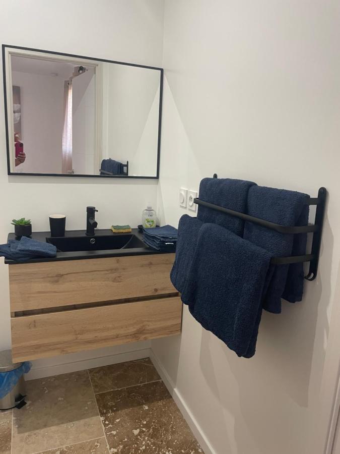 Bienvenue En Beaujolais Apartment Saint-Jean-d'Ardieres Ngoại thất bức ảnh